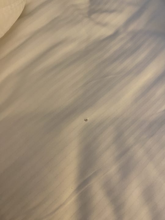 Zimmer Hilton Garden Inn Frankfurt Airport