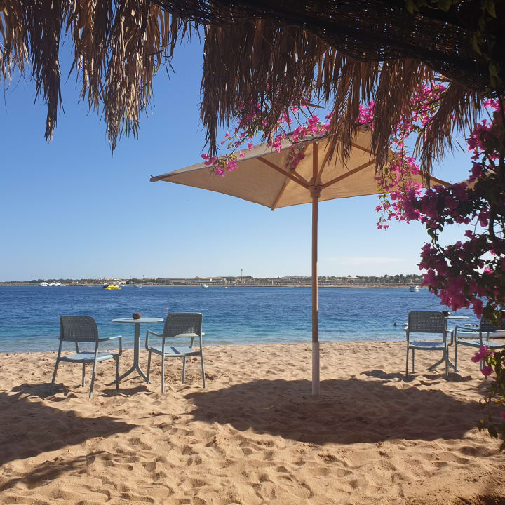 Gastro Fort Arabesque Resort, Spa & Villas