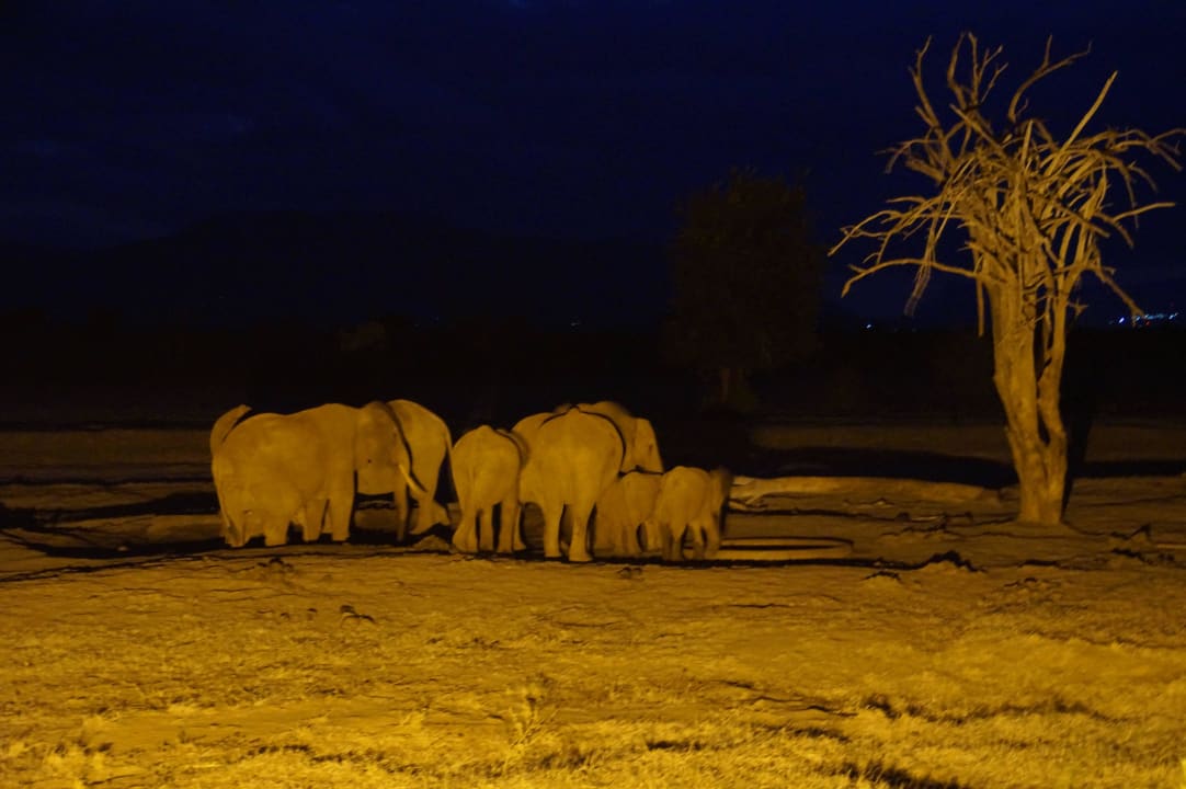 Das Wasserloch beim Abendessen Sentrim Tsavo Lodge