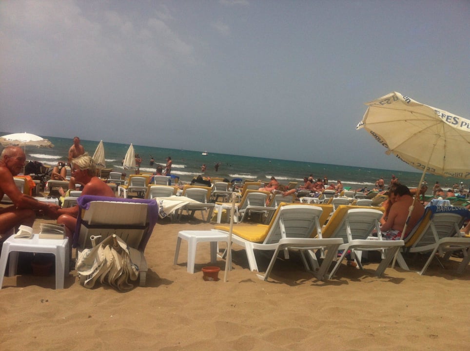 Sauberer Strandabschnitt Hotel Golden Star