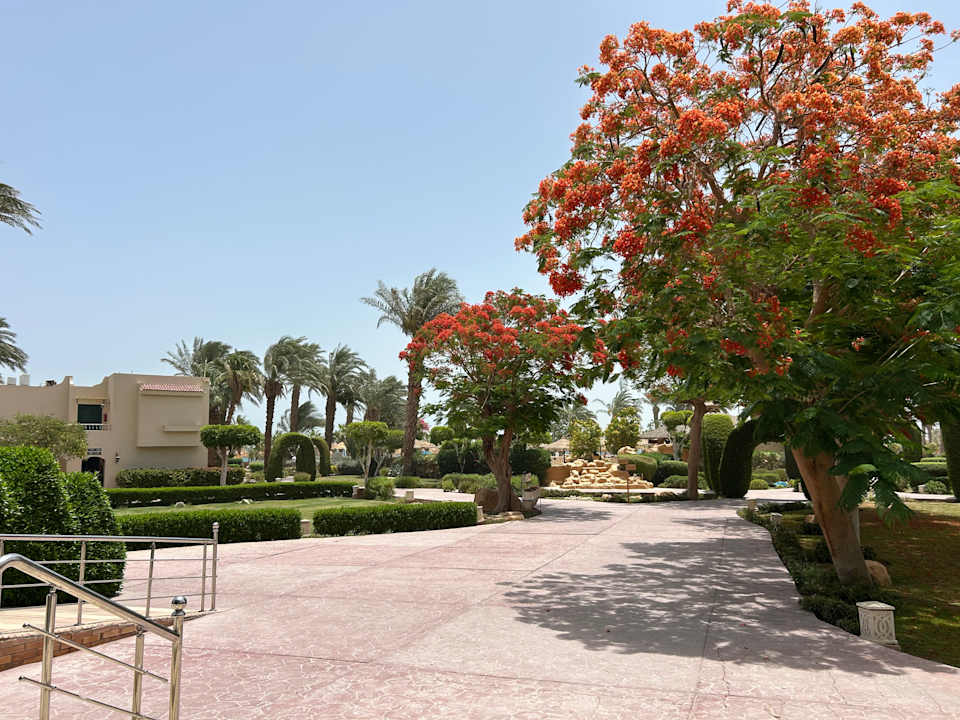 Ausblick Lotus Bay Beach Resort