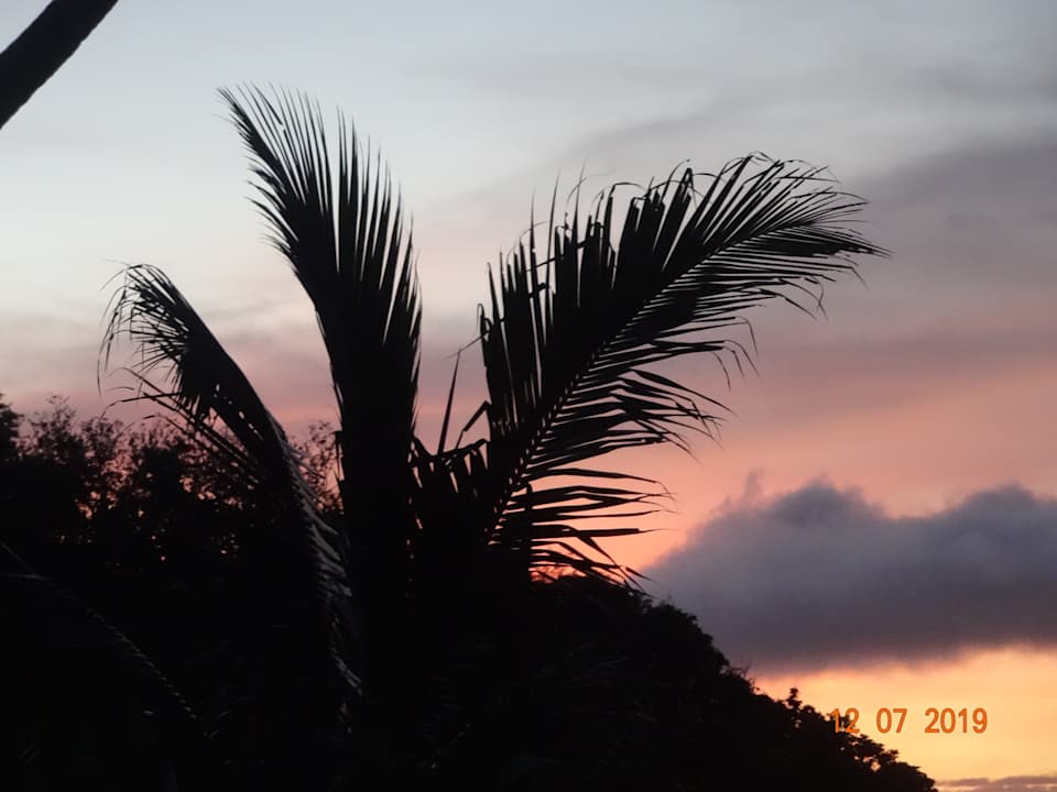 Sonstiges Papageno Resort