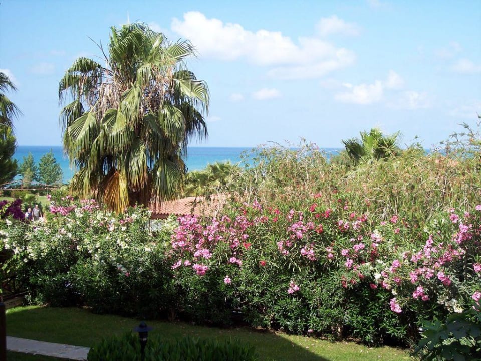 Hotelanllage Alba Resort Hotel