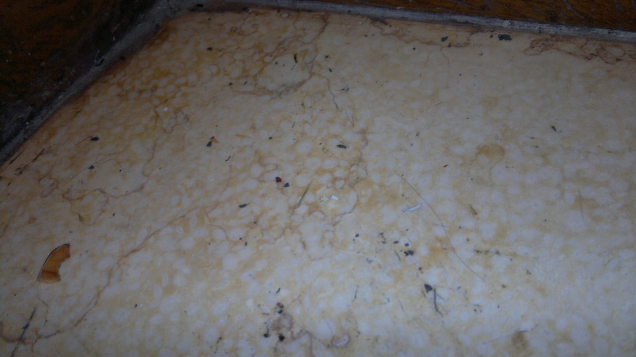 Tote Ameisen bei Abreise auf Waschablage Pickalbatros Citadel Resort