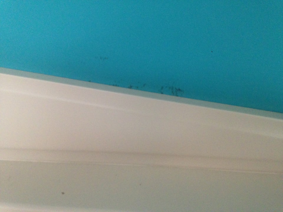 Zimmer Club Turtas Beach Hotel