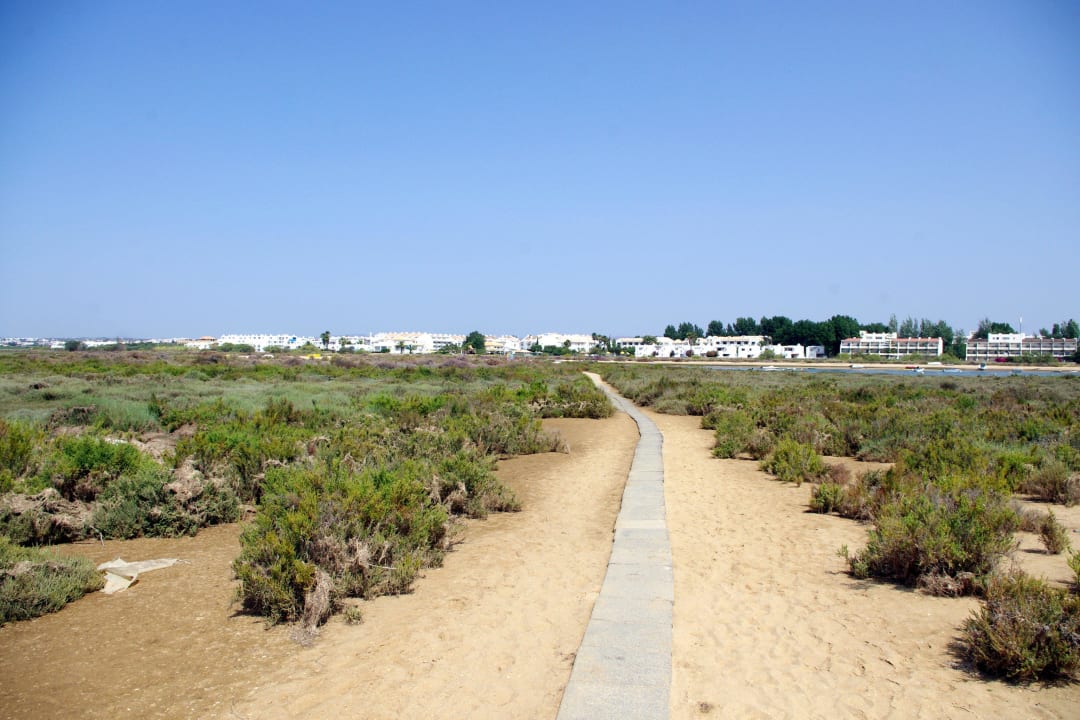 W drodze na plażę. W tle hotelowe budynki.  Golden Club Cabanas