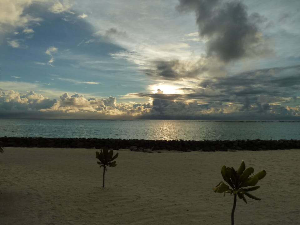 Besser gehts nicht Summer Island Maldives