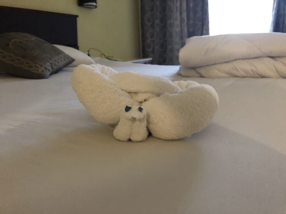 Zimmer Casa Mare Resort