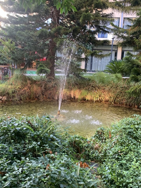 Gartenanlage Hotel Meryan