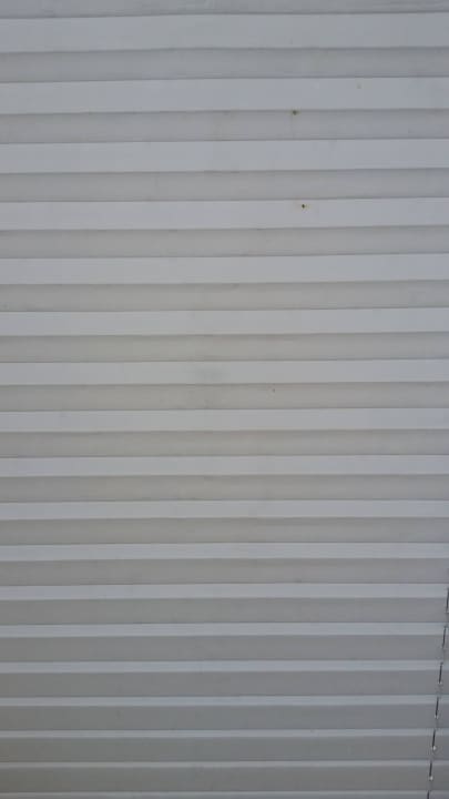 Rollo im Zaunkönig Bauer Martin | Ostsee Ferienhof Bendfeldt bei Grömitz