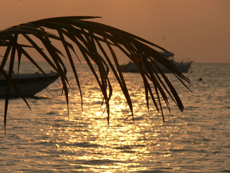 Meeru Island Resort Meeru Maldives Resort Island