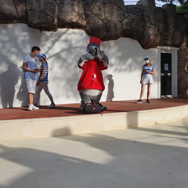 Sport & Freizeit ROBINSON NOBILIS