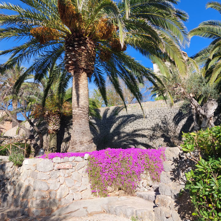 Gartenanlage Hotel Es Port