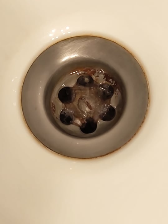 Zimmer Calimera Fido Gardens