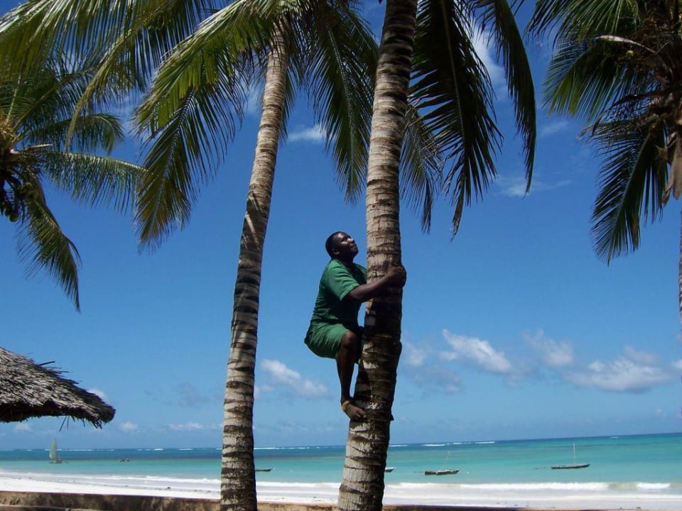 Was will ich mehr!? Neptune Paradise Beach Resort & Spa