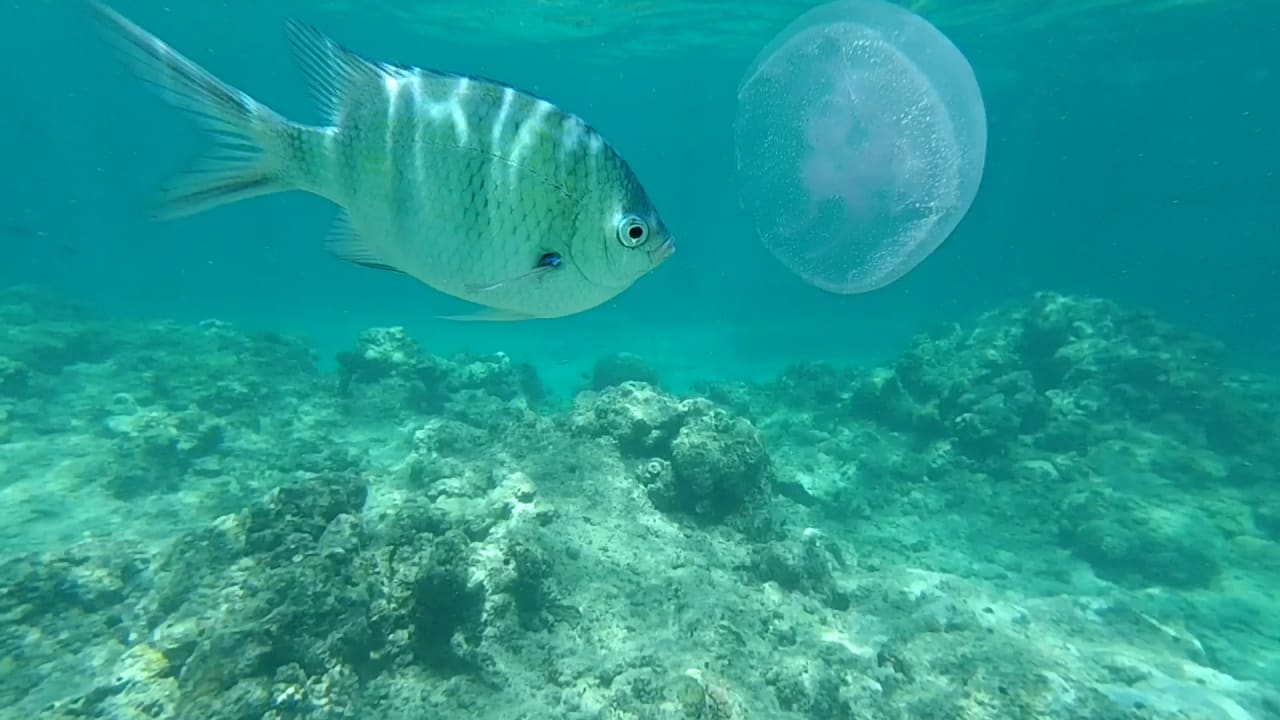 Sport & Freizeit Titanic Beach Spa & Aqua Park