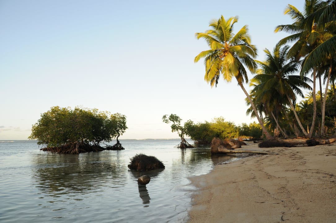 Wenige Minuten vom Hotel  Bahia Principe Grand El Portillo