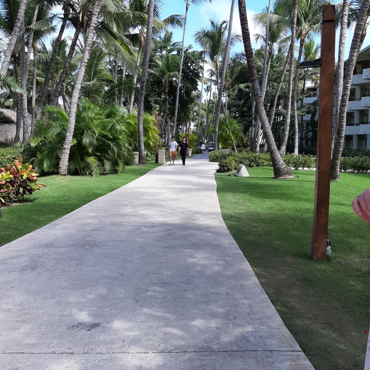 Gartenanlage Impressive Punta Cana