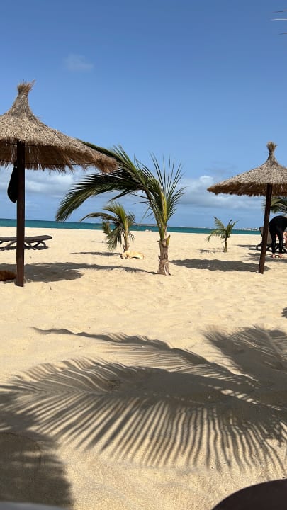 Strand Hotel Riu Palace Boavista