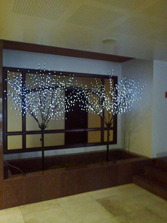 Main lobby Hotel Rapsodia