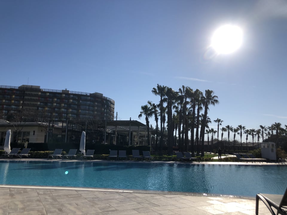 Pool Lara Barut Collection