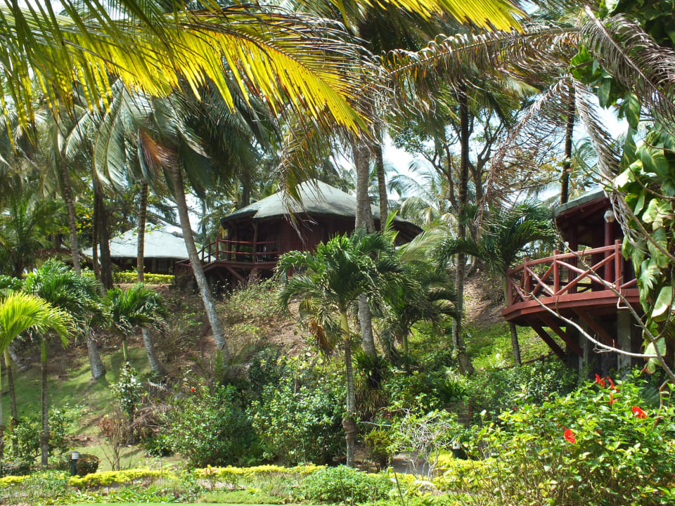 Gardenview Bungalows Hotel Bom Bom Island Resort