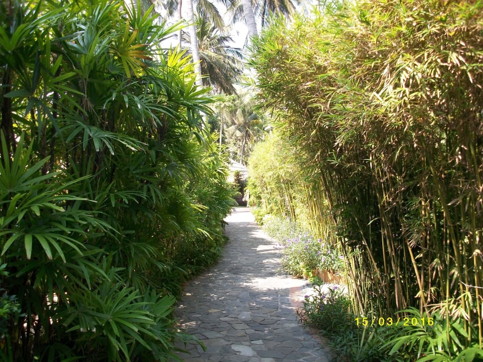 Park Bamboo Village Beach Resort & Spa