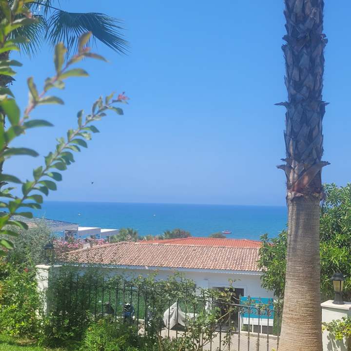 Außenansicht Alba Queen Hotel