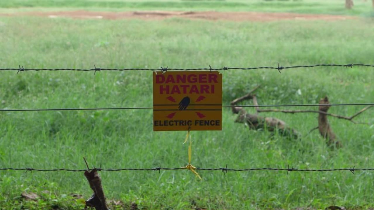 Am Zaun Sentrim Tsavo Lodge