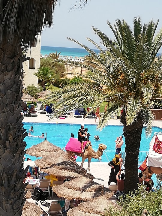 Pool Iberostar Waves Mehari Djerba