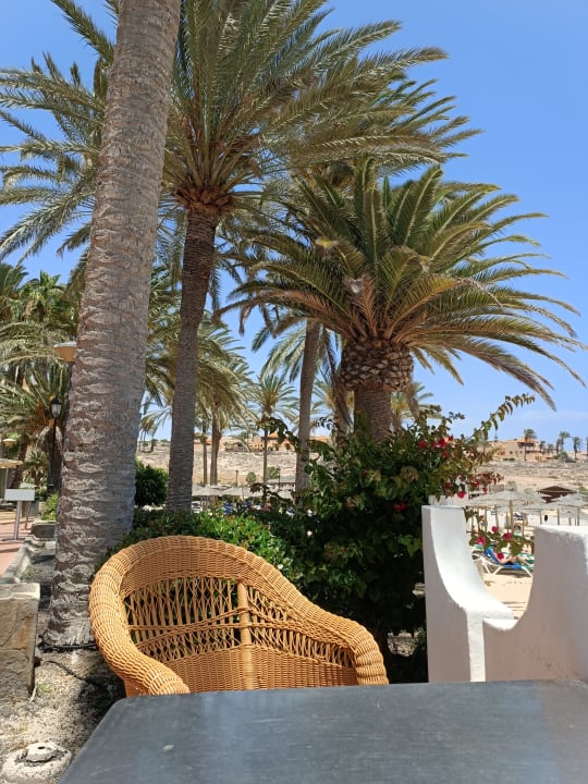 Gartenanlage SBH Costa Calma Beach Resort