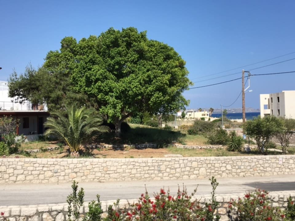 Ausblick Princess Andriana Resort & Spa