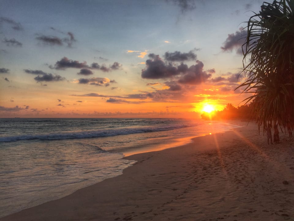 Strand Hotel Haus am Meer Wilde Ananas