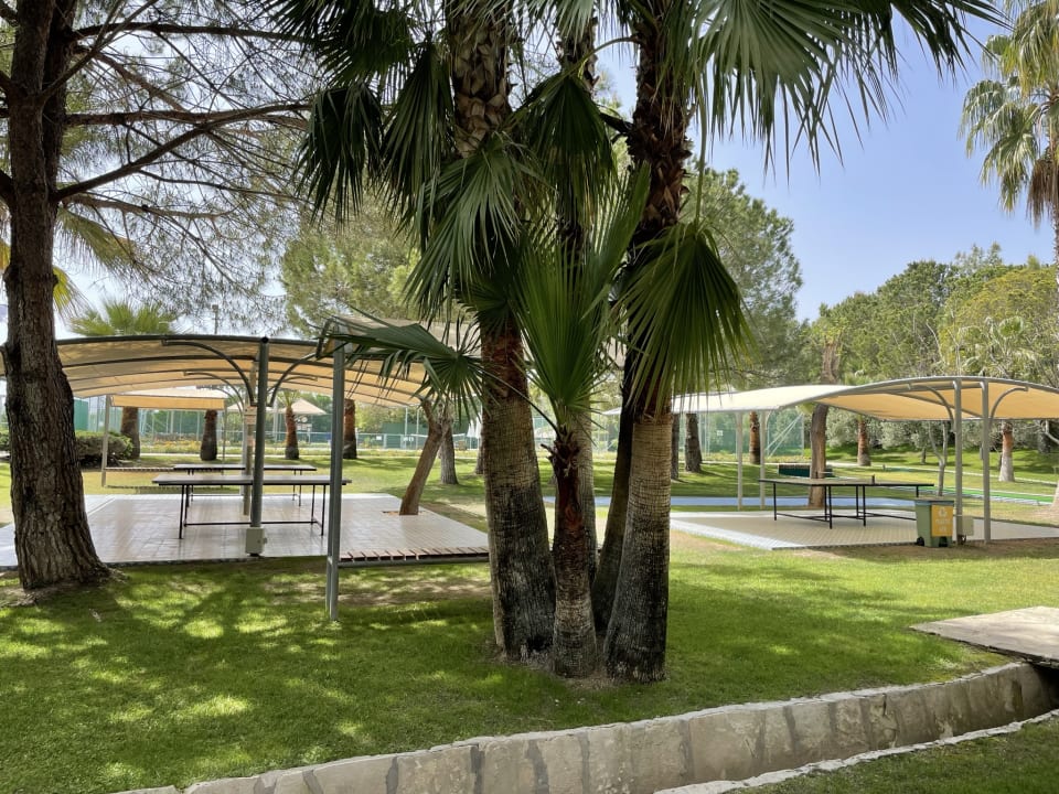 Sport & Freizeit Blue Waters Club