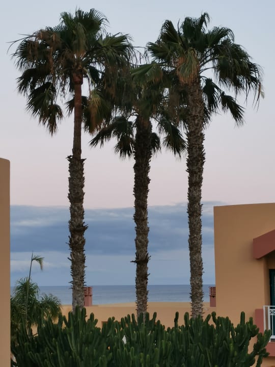 Ausblick H10 Playa Esmeralda - Adults only