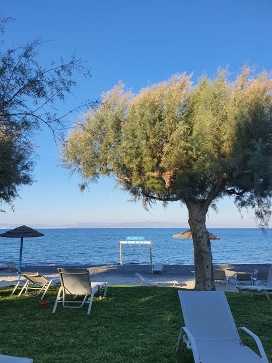 Außenansicht TUI BLUE Oceanis Beach and Spa Resort