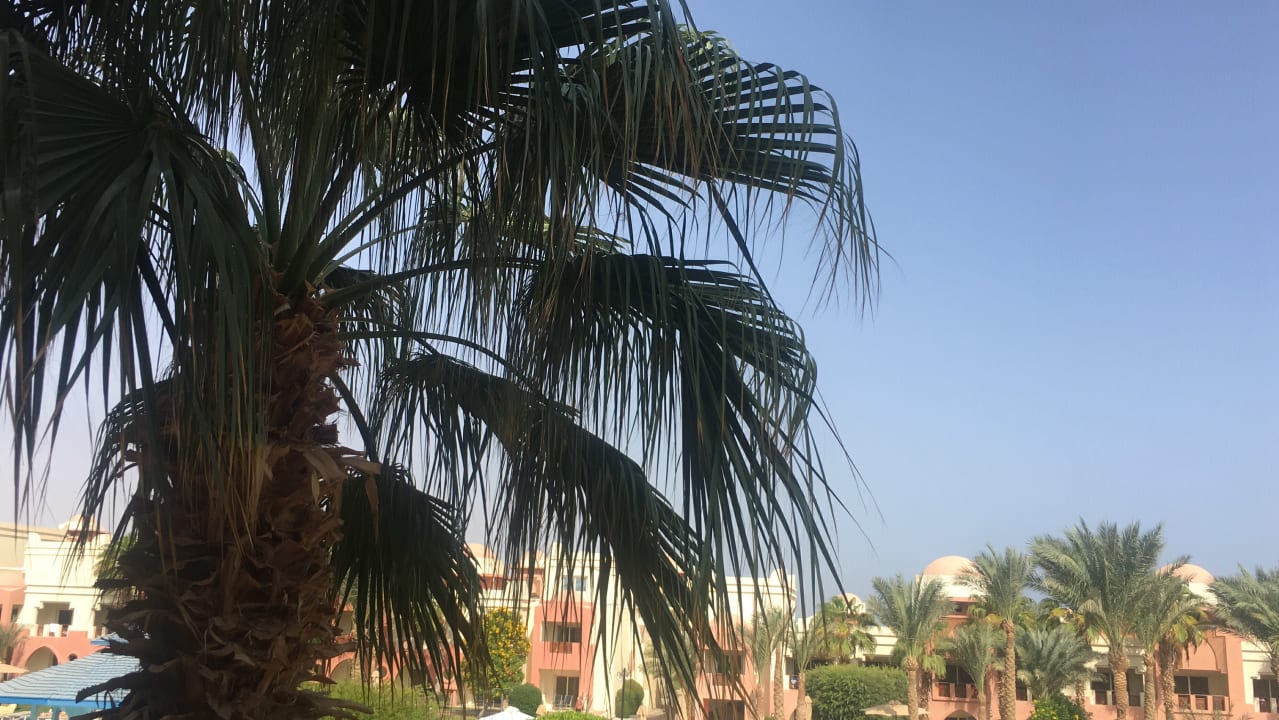 Gartenanlage Serenity Alpha Beach