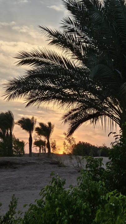 Ausblick Hotel JAZ Makadi Star & Spa