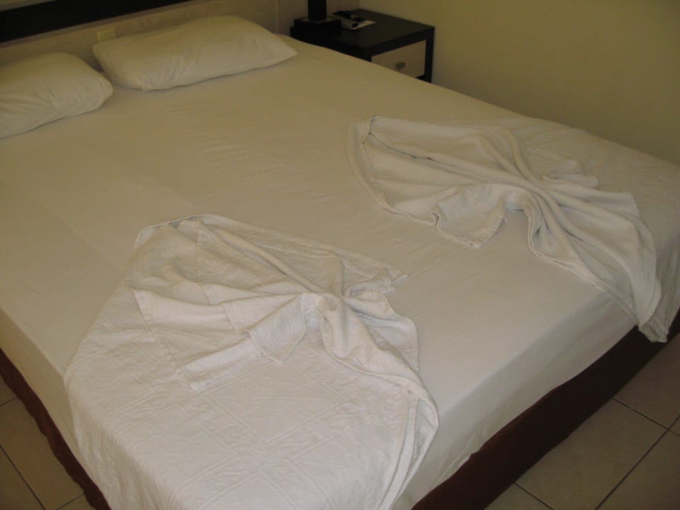 Immer herrliche Arten. Hotel Orfeus Park