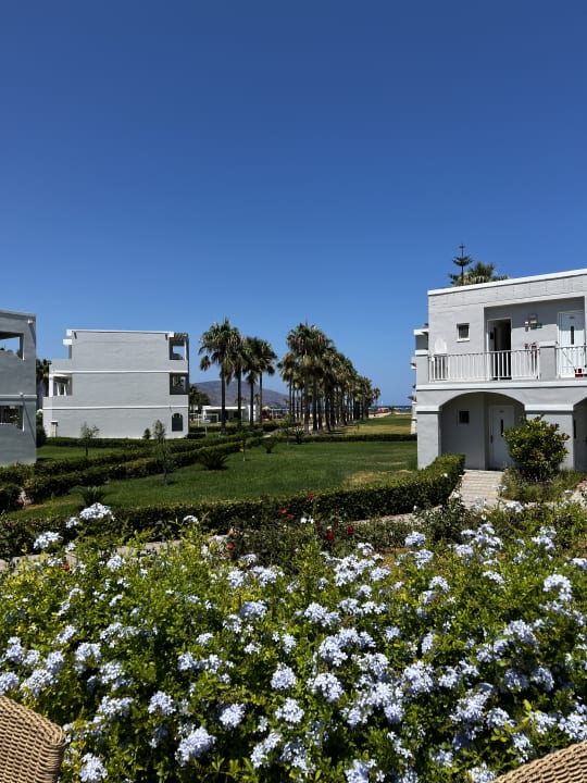 Gartenanlage Delfina Tropic Beach