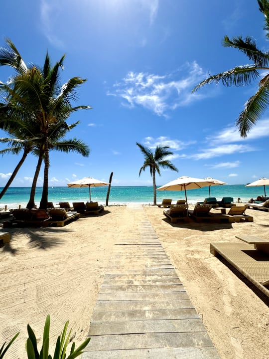 Gartenanlage Vik Hotel Arena Blanca & Cayena Beach