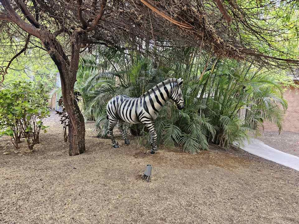 Gartenanlage Lopesan Baobab Resort