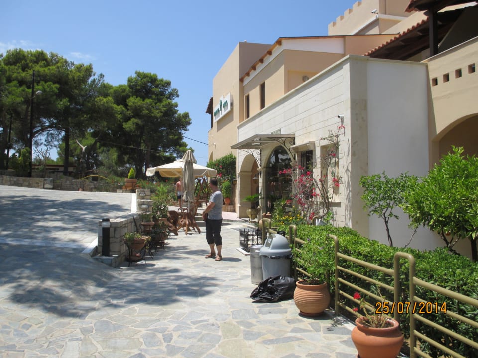 Hotel Seitenansicht Hotel Forest Park