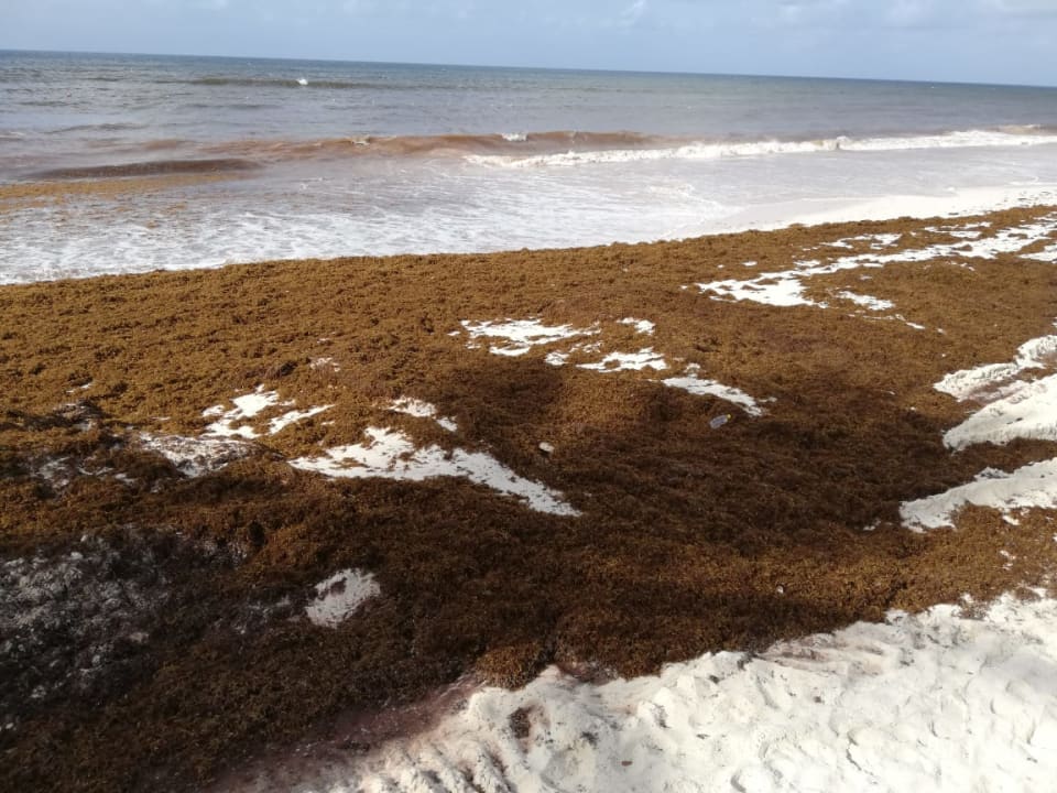 Strand Sea Breeze Beach House - All Inclusive