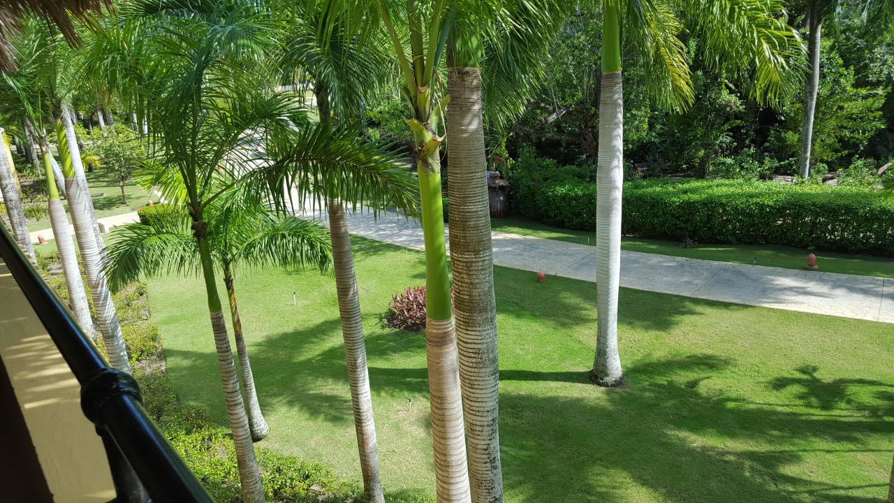 Garten Iberostar Waves Costa Dorada