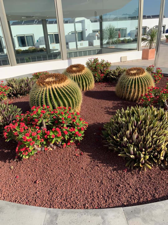 Lobby Hotel Las Costas