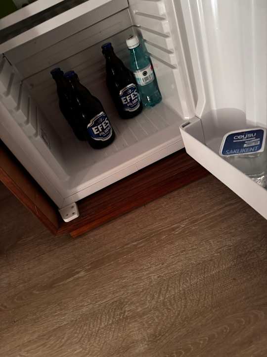 Zimmer Well Palace Side