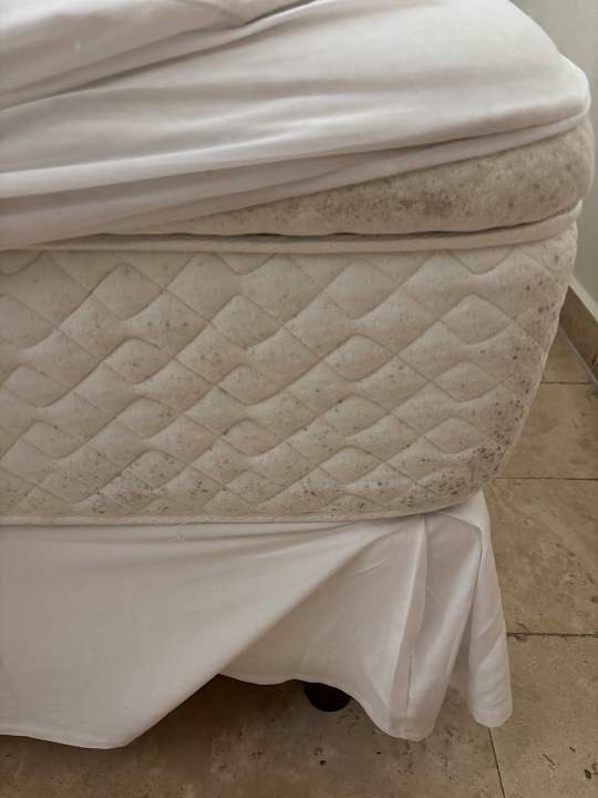 Zimmer Viva Azteca by Wyndham - All Inclusive Resort