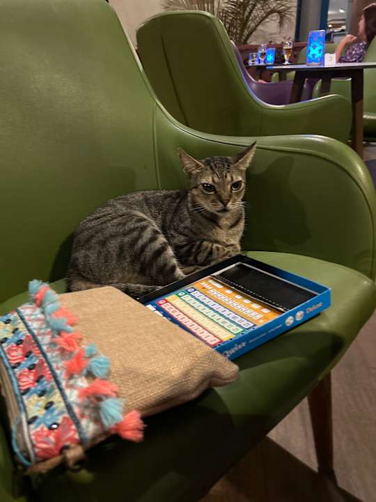 Sonstiges Hotel Riu Palace Boavista