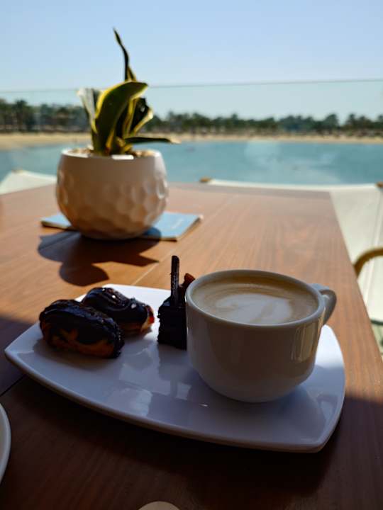 Ausblick Desert Rose